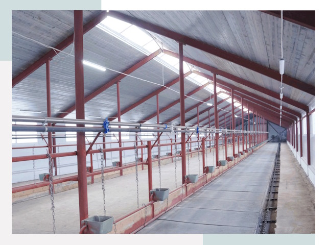 Строительство коровников в Георгиевске от 618 руб.