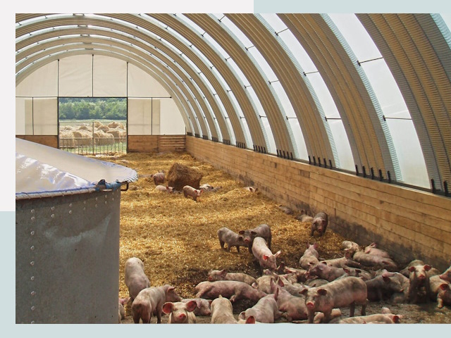 Строительство свинарников в Георгиевске