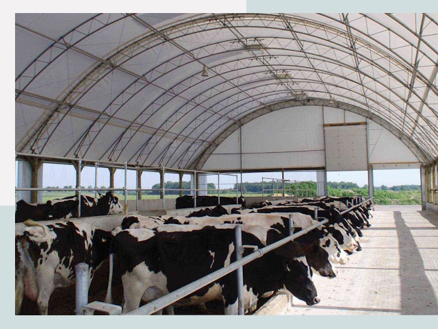 Тентовые коровники в Георгиевске